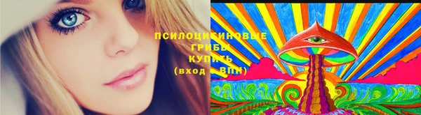 спайс Вязьма