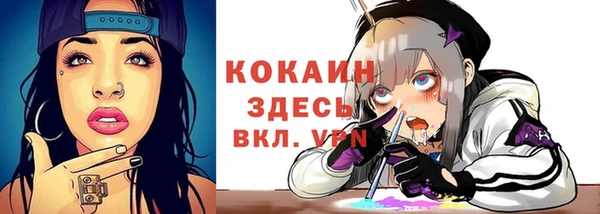 стафф Вяземский