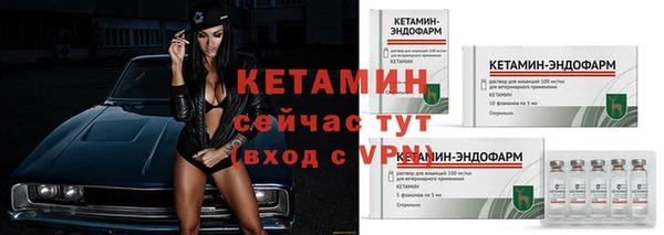 индика Горнозаводск