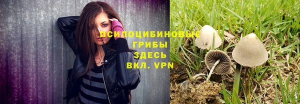 стафф Вяземский