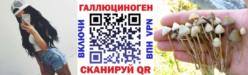 Галлюциногенные грибы GOLDEN TEACHER  Щёлково 